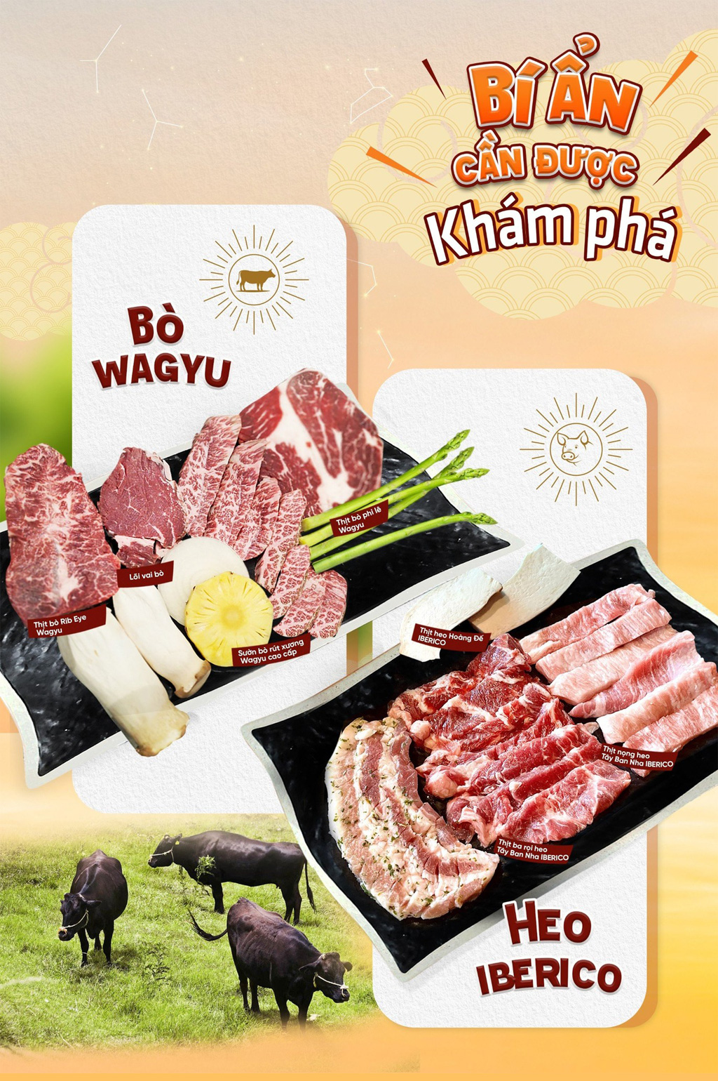 BÍ ẨN CẦN ĐƯỢC KHÁM PHÁ CỦA 2 LOẠI THỊT NGON NHẤT TẠI GOLDEN MEAT